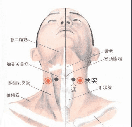 扶突的位置和作用,人体08个要害穴是哪几个图3