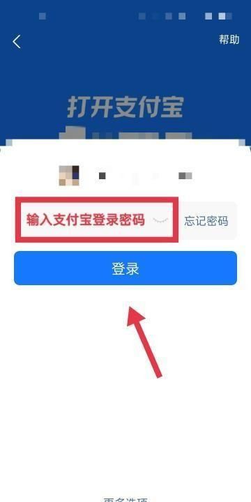 如何登录支付宝,登录支付宝怎么登录的图3