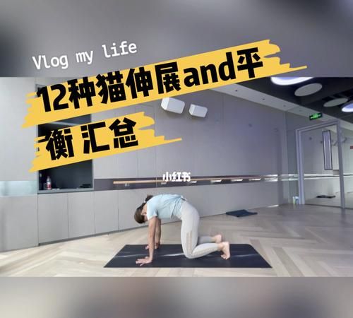 猫伸展式具备作用,做伸展运动有什么好处图2