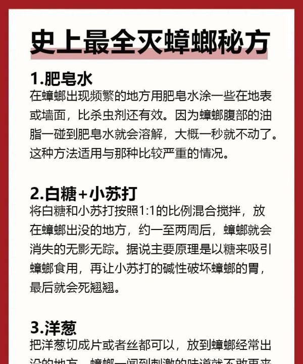 小苏打灭蟑螂最有效的方法,彻底清除蟑螂的小窍门图9