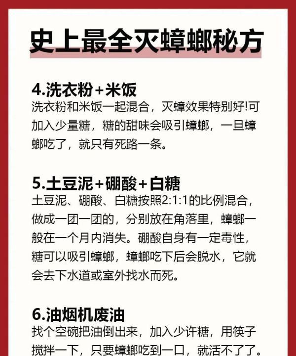 小苏打灭蟑螂最有效的方法,彻底清除蟑螂的小窍门图10