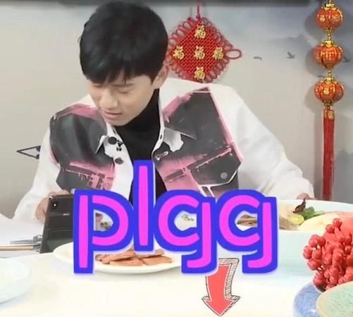 plgg是什么,pjg是什么意思图3