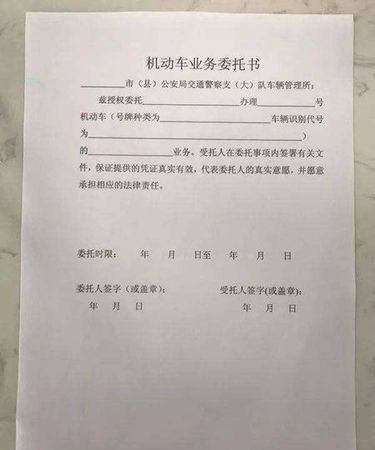 委托代理需要哪些手续及材料,委托代理人手续和身份材料是什么意思图4