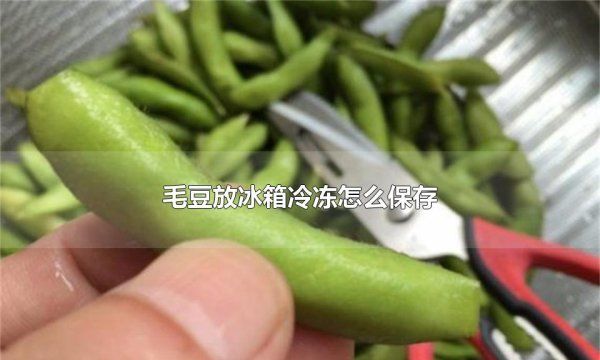 剥好的生毛豆放冰箱怎么保存,剥好的毛豆怎么保存才新鲜图7