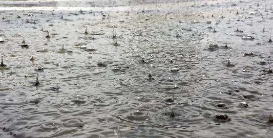 为什么下雨地上会有泡泡,为什么下雨之前地面会潮湿图3