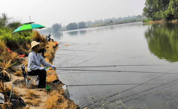 初春降温当天好钓鱼吗？,春天下雨降温第一天好钓鱼怎么钓图3