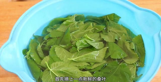 桑叶豆腐怎么做,桑叶豆腐的制作过程图6