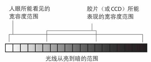 动态范围是什么意思,助听器宽动态范围是什么意思图2