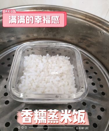 香糯饭是蒸米饭,快煮饭和香糯饭哪个是蒸米饭的