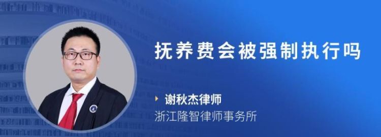 强制执行抚养费是什么程序,法院强制执行抚养费不给有什么后果图4