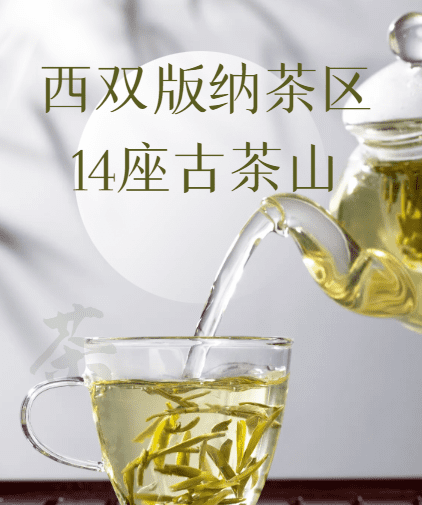 攸乐山出什么茶,勐库有什么好的普洱茶品牌图11