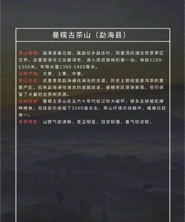 攸乐山出什么茶,勐库有什么好的普洱茶品牌图12