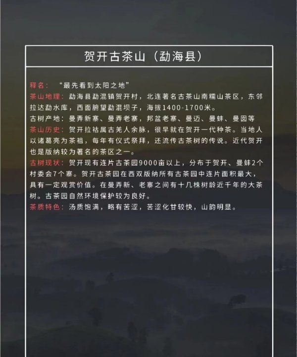 攸乐山出什么茶,勐库有什么好的普洱茶品牌图16