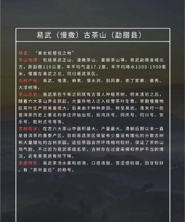 攸乐山出什么茶,勐库有什么好的普洱茶品牌图19