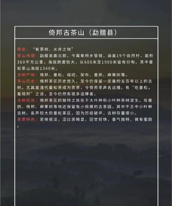 攸乐山出什么茶,勐库有什么好的普洱茶品牌图20