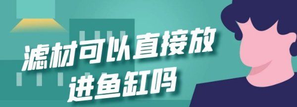 滤材直接放鱼缸里行,过滤材料直接放鱼缸里有过滤效果图3