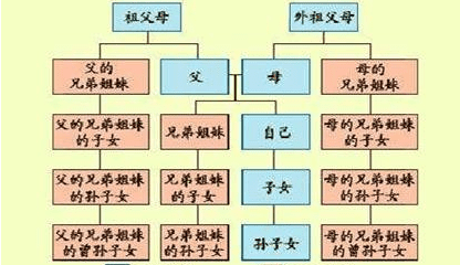 直系后代是什么意思,嫡系是什么意思图2