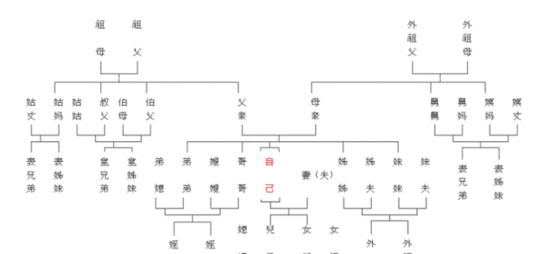 直系后代是什么意思,嫡系是什么意思图4