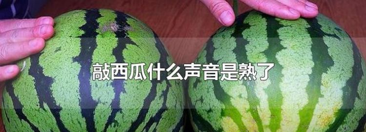 西瓜听声音怎么选熟的,西瓜怎么挑选熟的还甜的图1