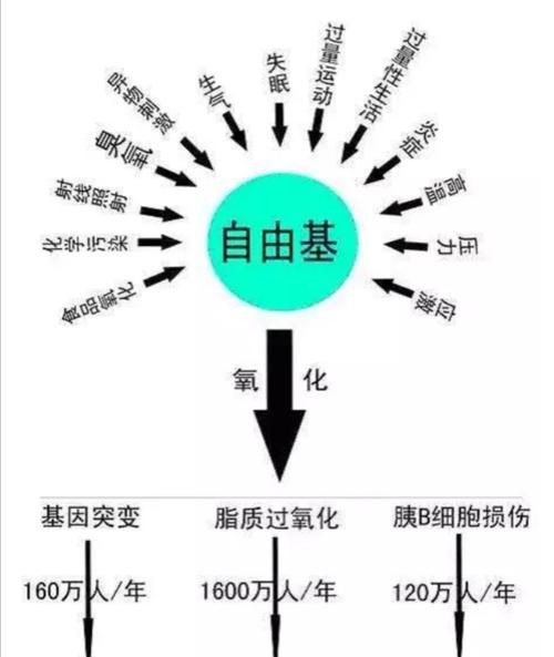 自由基是什么对人体有何危害,什么是自由基图2