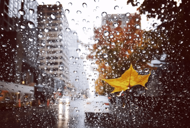 为什么下雨天会变黑,为什么下雨的时候天会变黄图2