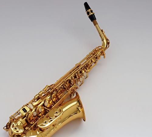 saxophone是什么乐器,次中音萨克斯英文名叫什么图1