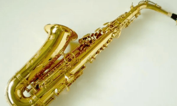 saxophone是什么乐器,次中音萨克斯英文名叫什么图5