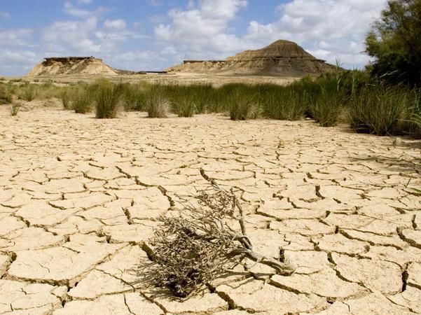 土地沙漠化有何危害,土地沙漠化的危害及治理措施