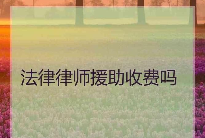 法律援助律师怎么收费的,律师是怎么收费的图2