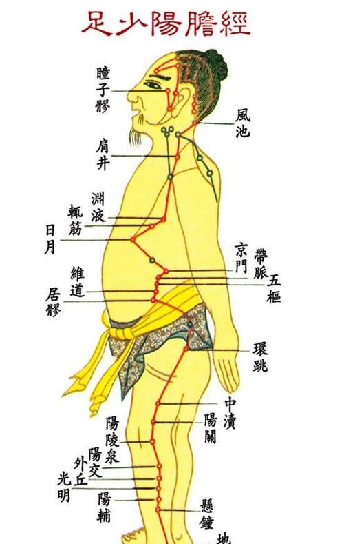 推胆经的好处,十二经络的好处与作用图2