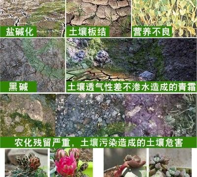 土地僵硬板结什么原因怎么办,土壤板结硬化怎样处理 为你介绍3个解决方法图4