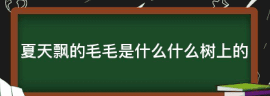 天上飘的白色毛毛是什么东西,五月飘的是杨絮还是柳絮图3