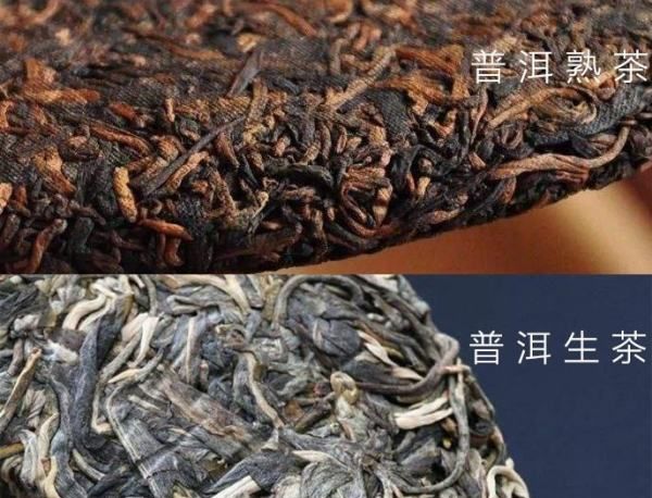 为什么喝生普不喝熟普,普洱茶为什么喝生不喝熟图3