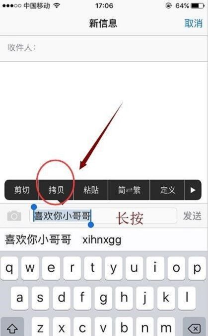 苹果手机iphone 复制不了文字,苹果电脑怎么复制粘贴文字图6