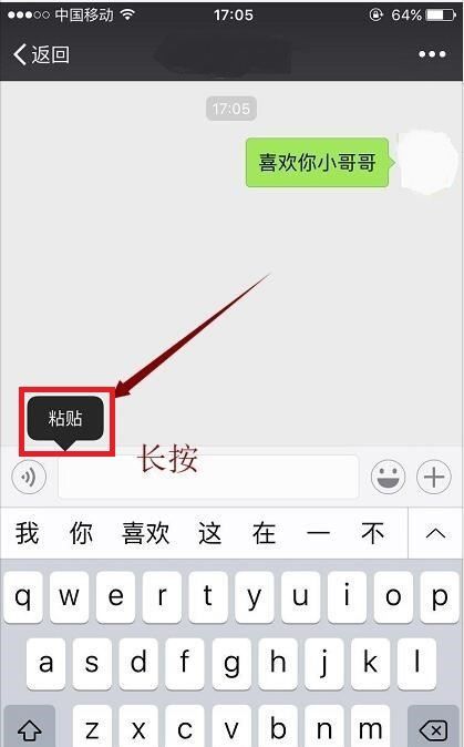 苹果手机iphone 复制不了文字,苹果电脑怎么复制粘贴文字图7