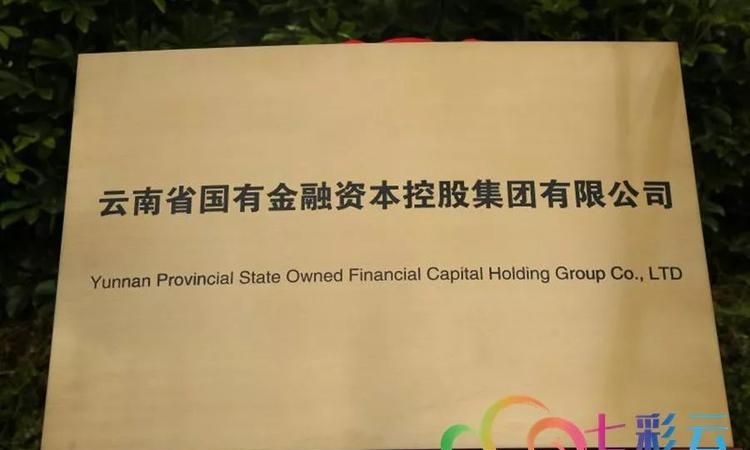 现代金控是国企,现代金控和瑞银信养卡哪个好图4