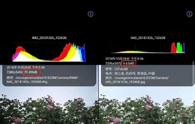 raw是什么格式,raw格式是什么意思图4