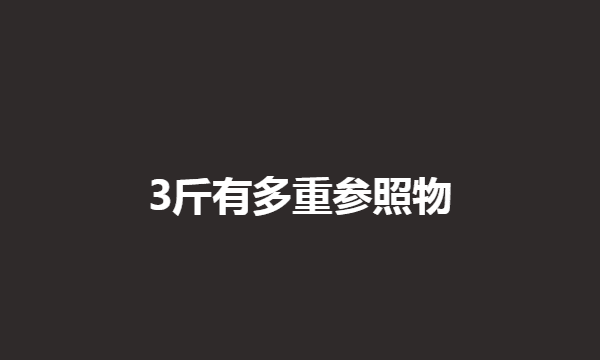 6斤有多重参照物,6斤肉有多少 实物图3