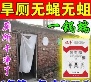 农村厕所苍蝇多怎样根除,厕所苍蝇如何消灭图1