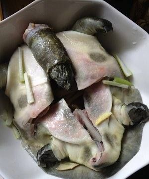 怎么做甲鱼菜好吃,甲鱼的烹饪方法图6