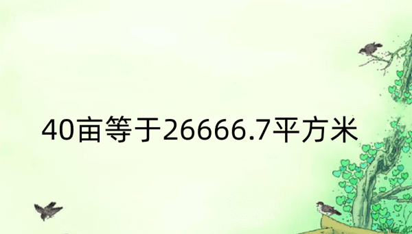 40亩地有多大,40亩地等于多少平方米图1