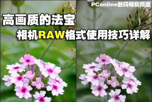 单反如何拍出raw格式,如何从佳能相机中导出raw格式照片图6