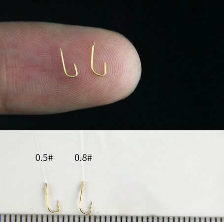 0.5和0.8谁大,0.8的0.5次方等于多少图1