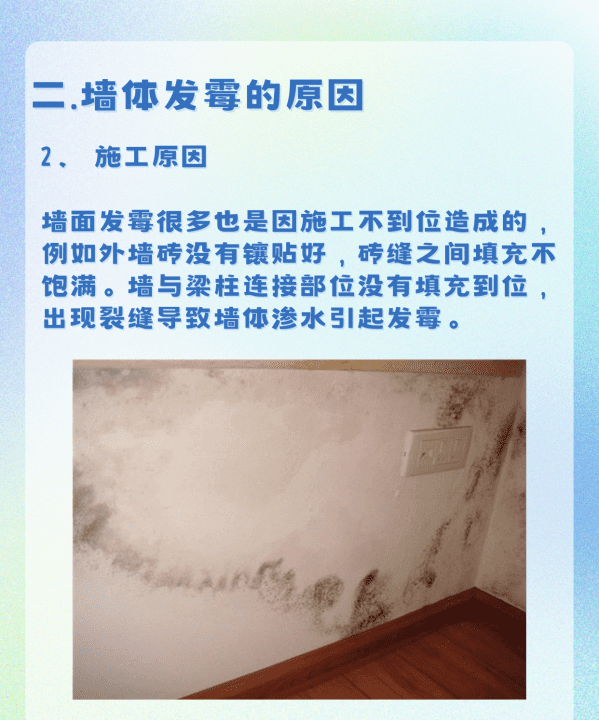 家里墙面发霉如何处理,墙体发霉怎么办图4