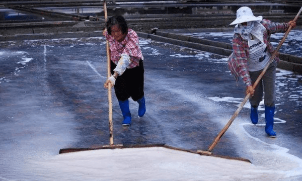 海水如何制盐,海水制盐的基本步骤图4