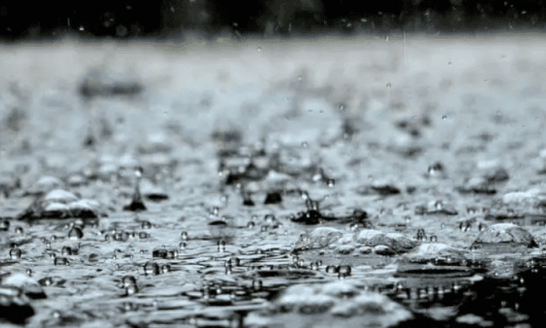 被雨淋湿之后怎么办,一直下雨晒不了被子怎么办图5