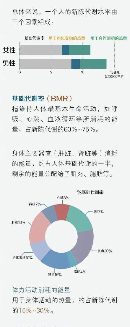 如何加快新陈代,如何喝水能够提高代图7