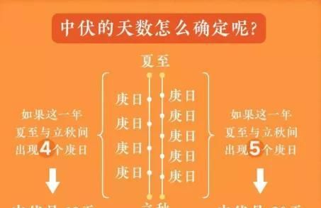 入伏从哪天算起,入伏时间怎么算2023图2