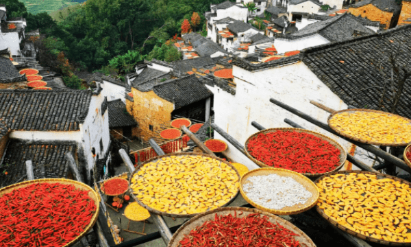 重阳节是干什么的,重阳节要干什么图3