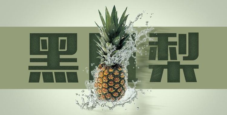 黑凤梨是什么水果,黑凤梨是什么水果图3